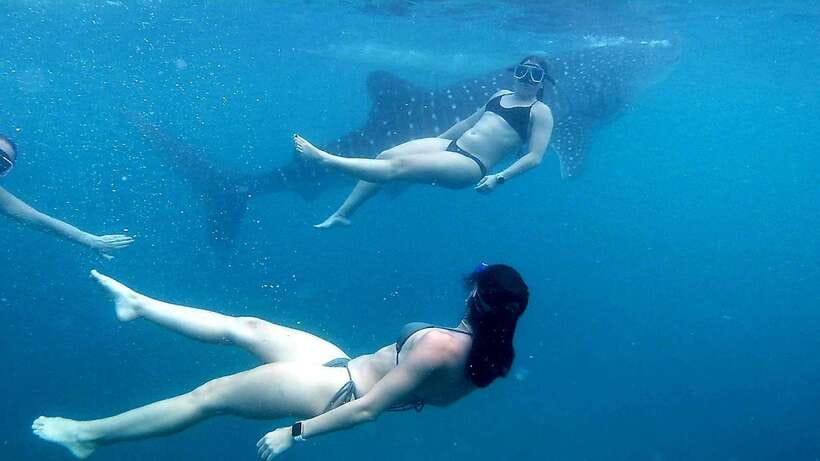 Cebu: Whale Shark Swim, Kawasan Falls & Moalboal Sardine Run - The road to Badian and the walk to Kawasan Falls
