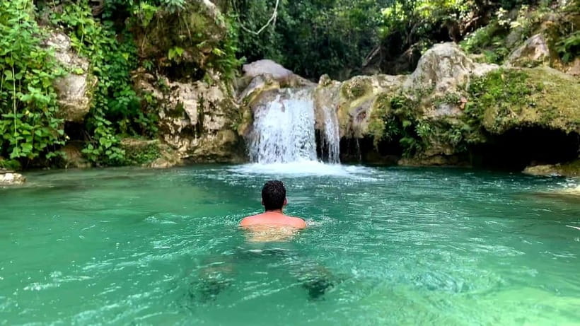 Cebu: Whale Shark Swimming & Inambakan Falls Adventure - Key points at a glance