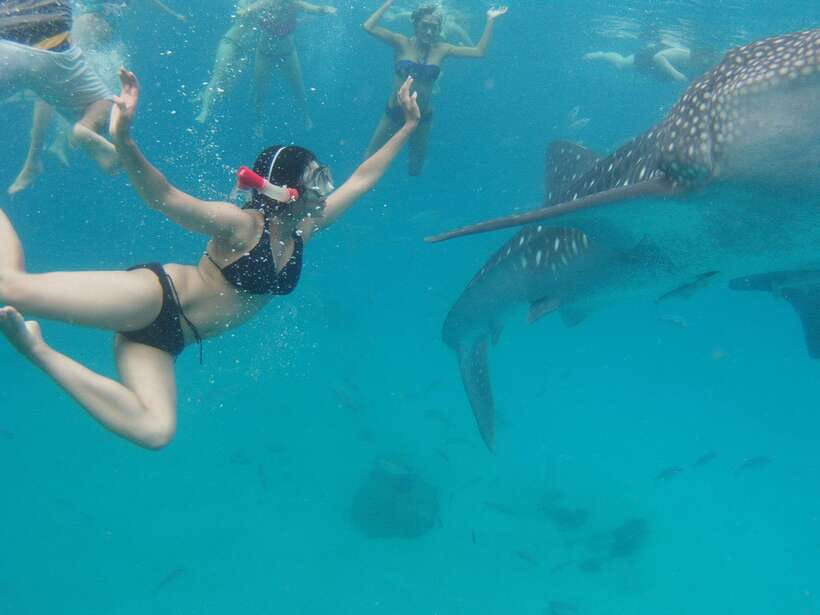 Cebu Whale Shark Swimming & Kawasan Canyoneering Group Tour - The 3:00 AM pickup sets the tone