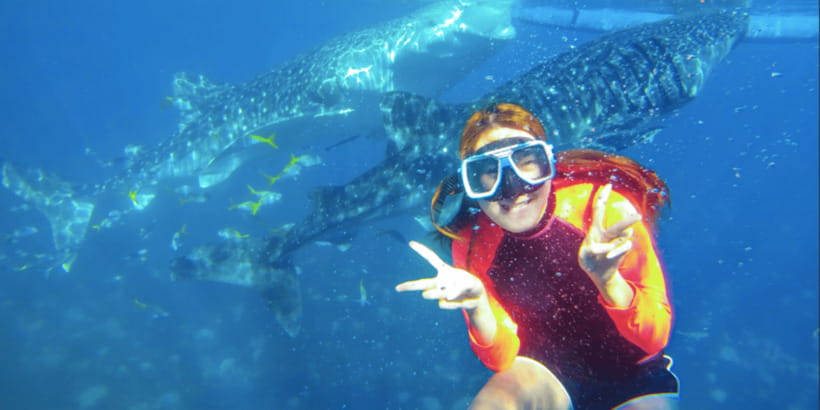 Cebu: Whale Shark Swimming, Sumilon Island and Kawasan Falls - Lunch in Badian before the falls