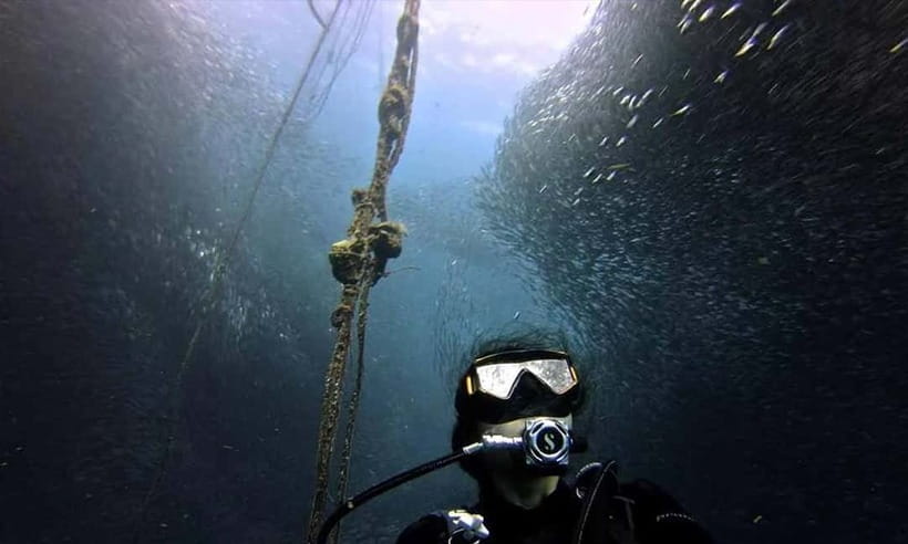 Cebu: Whale Shark, Tumalog, Sumilon, and Moalboal Tour - Why this tour appeals to active visitors