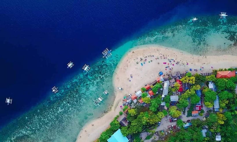 Cebu: Whale Shark, Tumalog, Sumilon, and Moalboal Tour - Oslob whale sharks in a 30-minute session