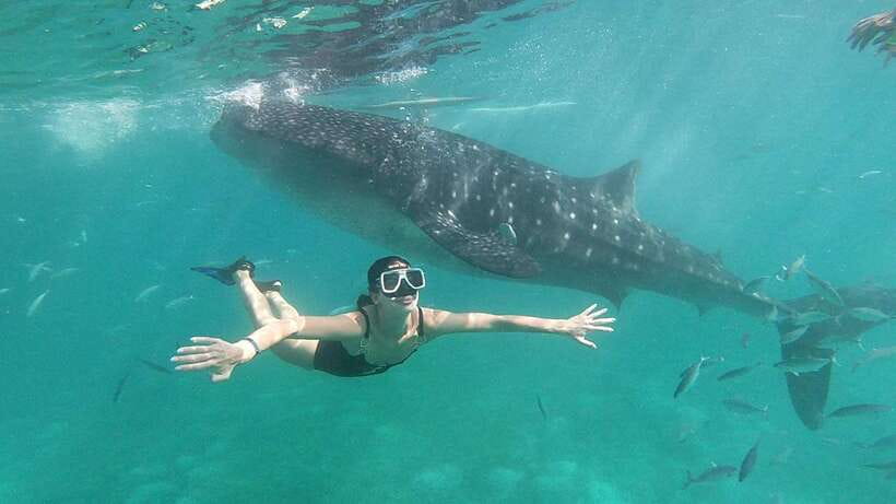 Cebu: Whale Shark, Tumalog Waterfall, and Moalboal Tour - Breakfast and the long southern route