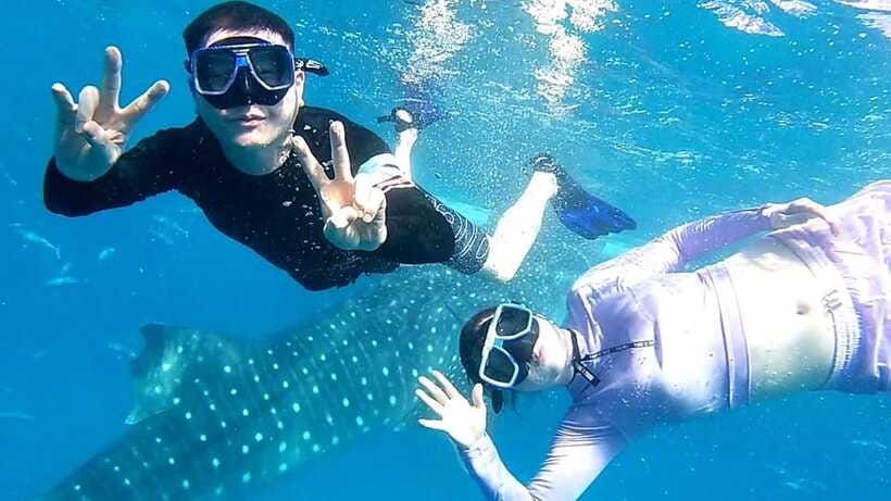Cebu: Whale Shark, Tumalog Waterfall, and Moalboal Tour - Final verdict: book it for variety and convenience