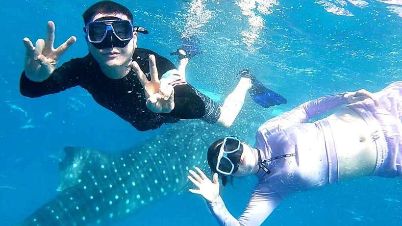 Cebu: Whale Shark, Tumalog Waterfall, and Moalboal Tour - Oslob whale sharks: the first major stop
