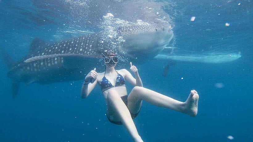 Cebu: Whale Shark Watching and Canyoneering Group Tour - Why combine Oslob and Kawasan Falls?