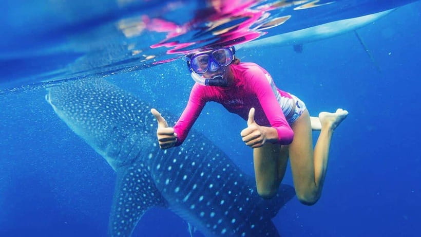 Cebu: Whale Shark Watching and Canyoneering Group Tour - From Oslob to Badian