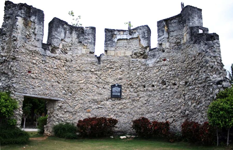 Cebu: Whale Shark Watching & Heritage Tour with Dive Option - Key points to know before booking