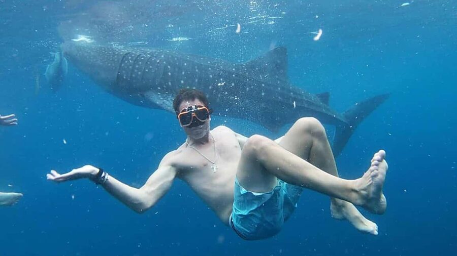 Cebu: Whale Shark Watching & Heritage Tour with Dive Option - Why this day works for Cebu visitors