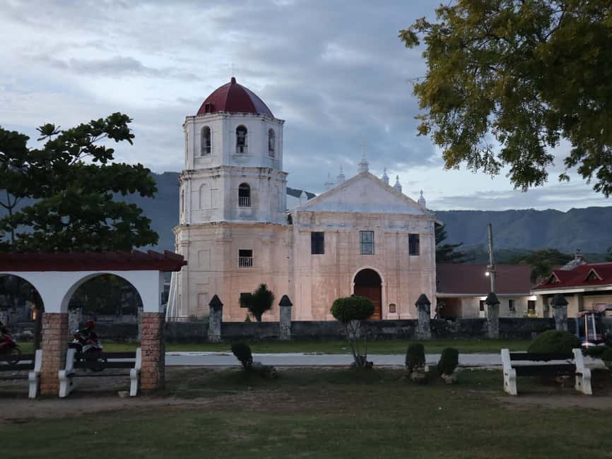 Cebu: Whale Shark Watching & Heritage Tour with Dive Option - Meeting the whale sharks in Oslob