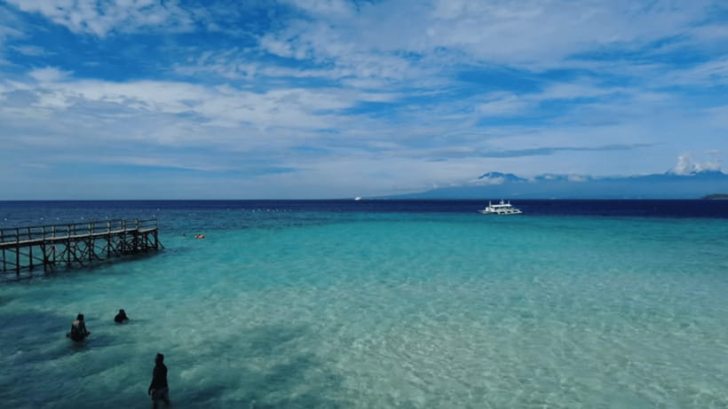 Cebu: Whale Shark Watching, Tumalog Falls & Sumilon Island - The day begins before Cebu wakes up