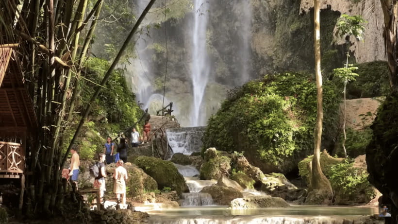 Cebu: Whale Shark Watching, Tumalog Falls & Sumilon Island - Should you book it?