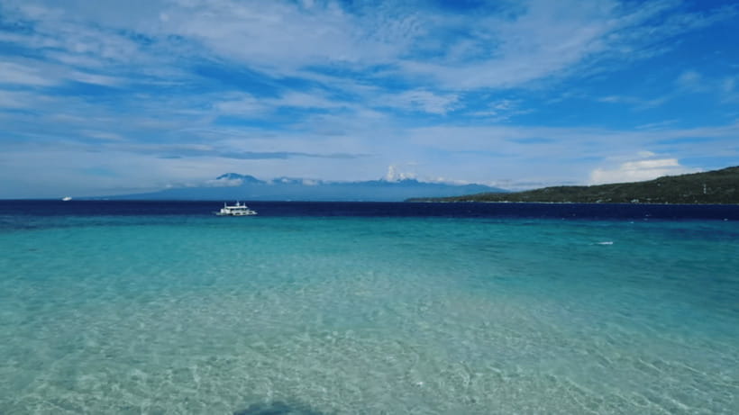 Cebu: Whale Shark Watching, Tumalog Falls & Sumilon Island - Oslob whale sharks at sunrise