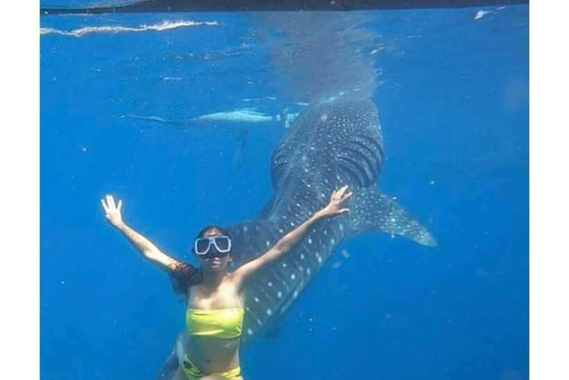 Cebu:Whale Shark, Waterfall, and Sardine Run Group Tour+Meal - The main drawbacks to weigh