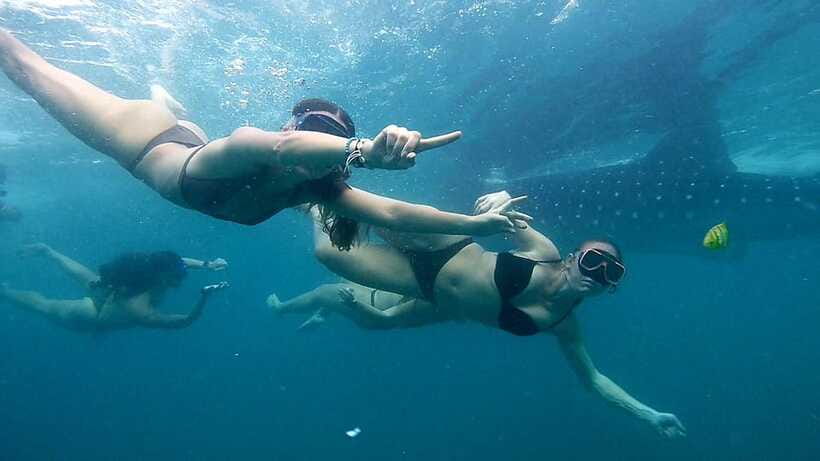 Cebu: Whale Sharks, Ka-Treasure Water Terraces & Simala Tour - Simala Church and the Castle-Like Silhouette