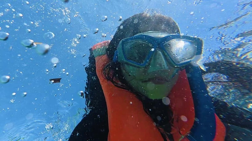 Cebu: Whale Sharks, Kawasan Falls, & Sardines Run Snorkeling - Kawasan Falls and the optional canyoneering upgrade