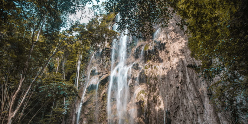 Cebu: Whale Sharks, Tumalog Falls, and Monkey Sanctuary Tour - Practical advice before you go