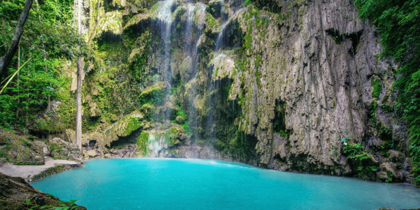 Cebu: Whale Sharks, Tumalog Falls, and Monkey Sanctuary Tour - Meeting the monkeys at the sanctuary