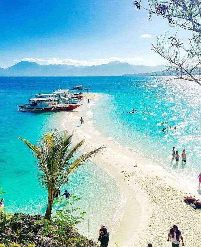 Cebu: Whaleshark Encounter, Tumalog Falls & Sumilon Sandbar - The people who make the long day easier
