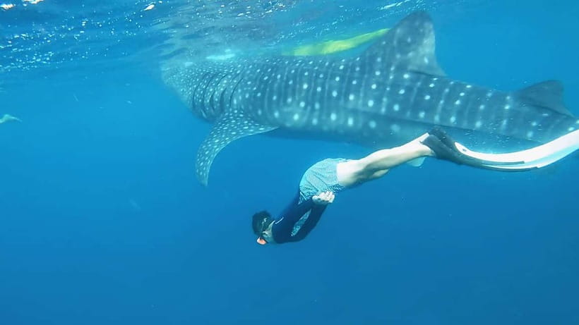 Cebu: Whaleshark Swimming & Kawasan falls Canyoneering Tour - Filipino lunch by the beach