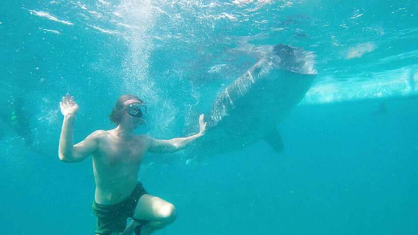 Cebu: Whaleshark Swimming & Kawasan falls Canyoneering Tour - The return ride and the real length of the day