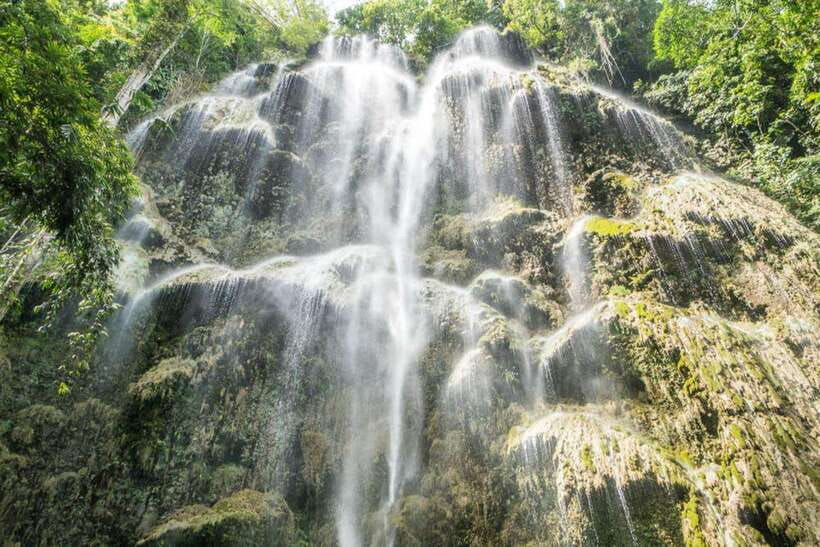Cebu: WhaleShark , Tumalog Falls, & Sardine Run Snorkeling - Lunch and the value of the $124 price