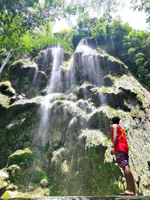 Cebu: WhaleShark , Tumalog Falls, & Sardine Run Snorkeling - Pickup, drop-off, and the long road day