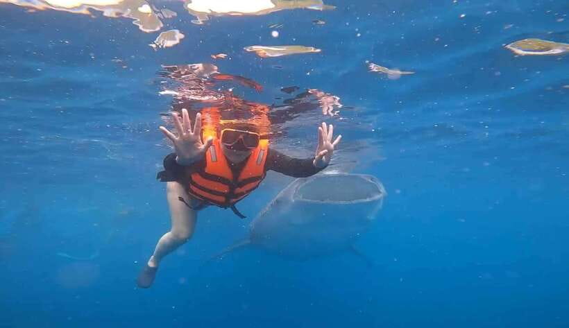CEBU: Whaleshark Watching + Sumilon Sand Bar + Tumalog Falls - Key Things To Know Before You Book