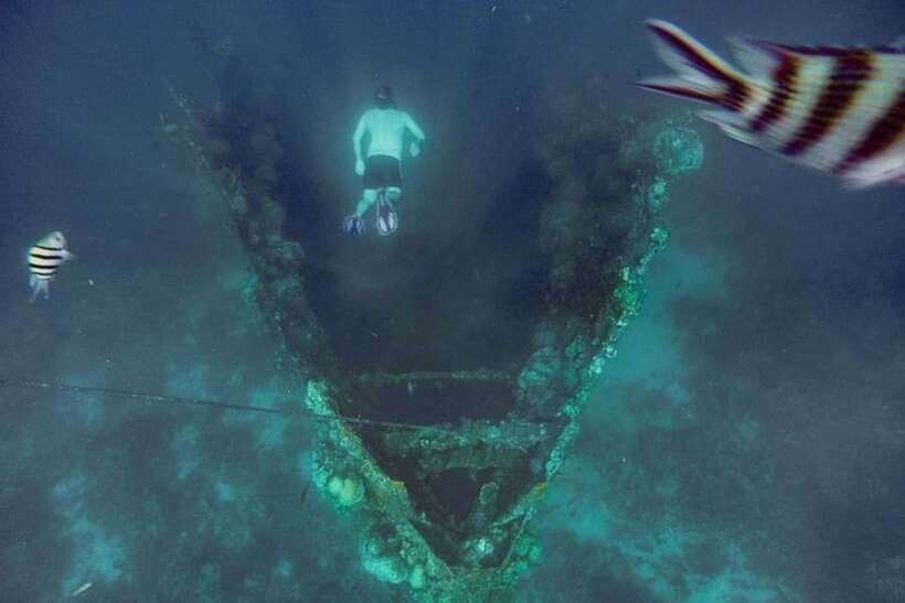 Coron: Barracuda Lake, Skeleton Wreck, Twin Lagoon Boat Tour - Barracuda Lake and the strange change in water temperature
