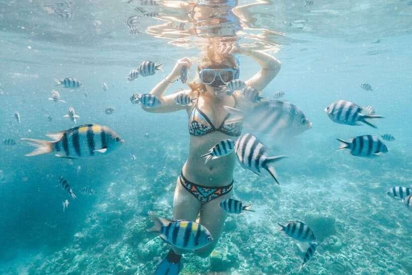 Coron: Barracuda Lake, Skeleton Wreck, Twin Lagoon Boat Tour - Group tour or private boat?