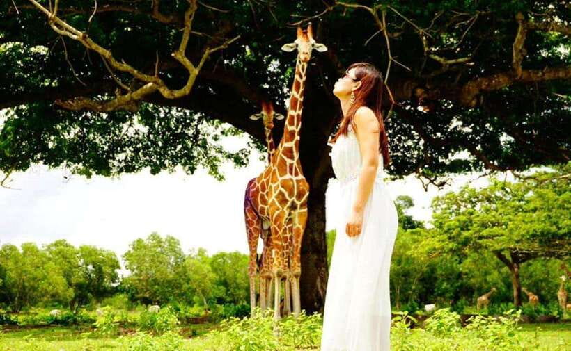 Coron: Calauit Safari Black Island Lunch & Transfer included - Key points to know before booking