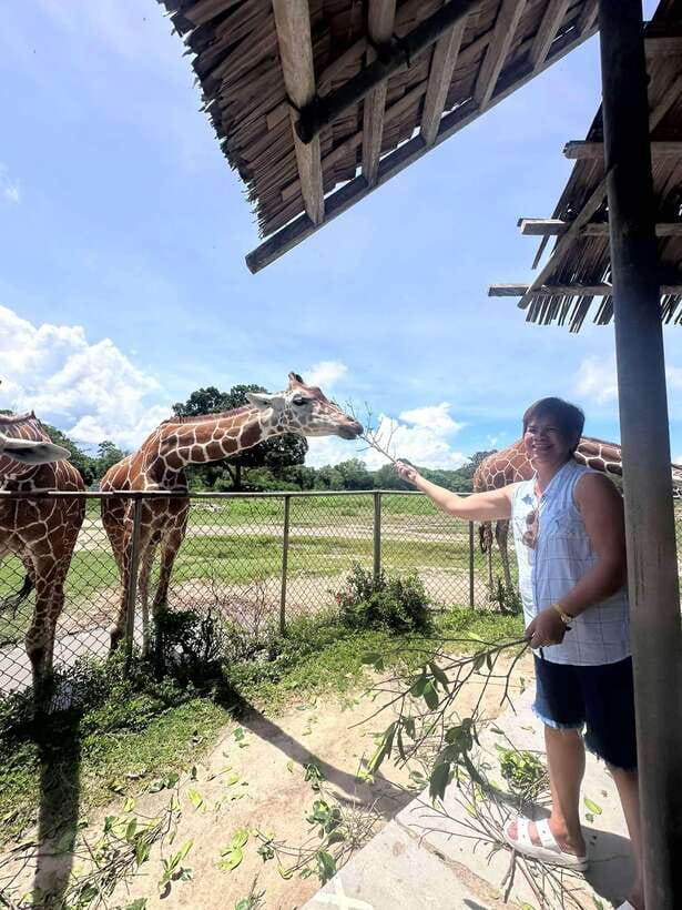 Coron: Calauit Safari Black Island Lunch & Transfer included - The caves are the real reward