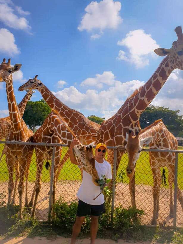 Coron: Calauit Safari Black Island Lunch & Transfer included - How much value do you get for $94?