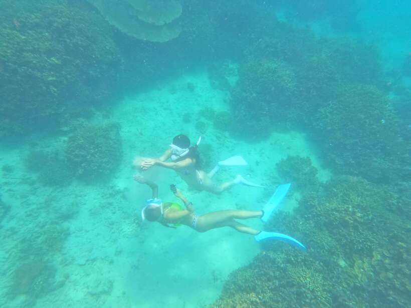 Coron: Dugong Watching with Sea Turtle and Coral Garden tour - Who will enjoy this tour most?
