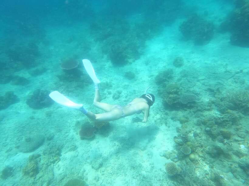 Coron: Dugong Watching with Sea Turtle and Coral Garden tour - The boat ride to the dugong area