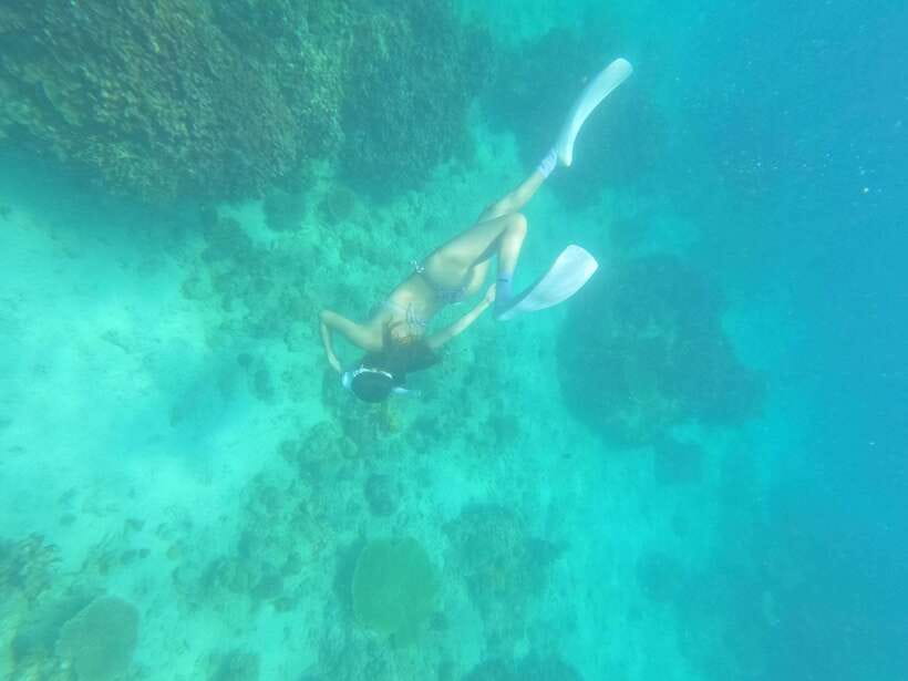 Coron: Dugong Watching with Sea Turtle and Coral Garden tour - Your dugong encounter, carefully managed