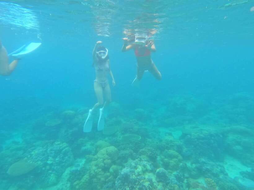 Coron: Dugong Watching with Sea Turtle and Coral Garden tour - The 5:00 a.m. pickup and ride to Busuanga