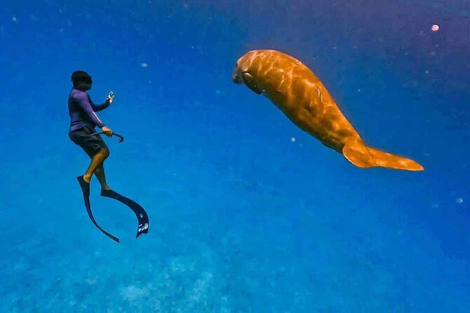 Coron Group Dugong and Turtle Watching with Lunch - Snorkeling gear, guides, and comfort