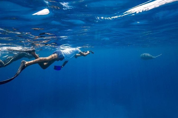 Coron Group Dugong and Turtle Watching with Lunch - Is $112 a fair price?