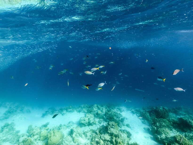 Coron Island Hopping: Super Ultimate Private Tour - Skeleton Wreck or Balinsasayaw