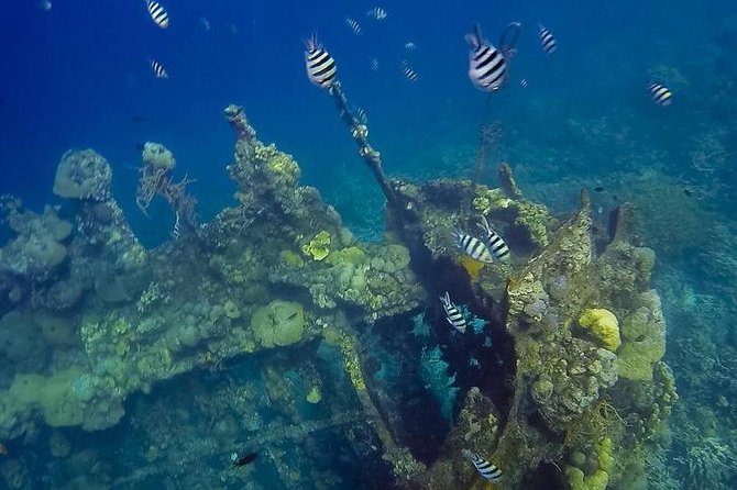 Coron Island Tour B (Private) - Key Points To Know Before You Book