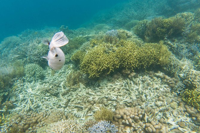 Coron Island Tour B (Private) - What To Pack For A More Comfortable Day