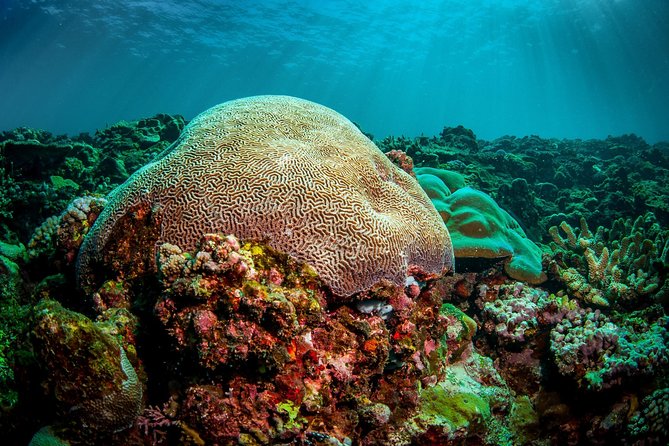 Coron Island Tour B (Shared Tour) - What to pack for an eight-hour boat day