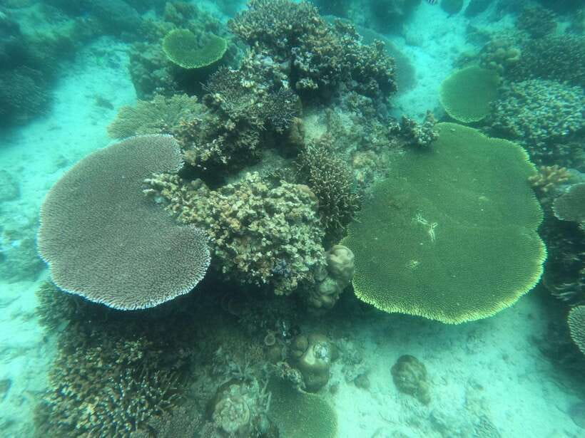Coron: Kayangan Lake, Twin Lagoon, and Siete Pecados Tour - Atuayan Beach for lunch and a pause