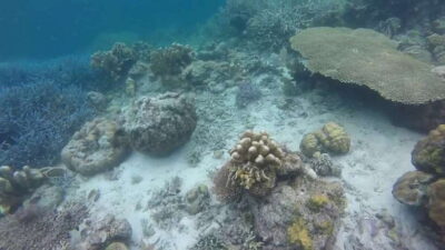 Off-Bay Islands, Lagoons and Lakes Hopping Tour