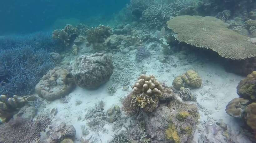 Coron: Off-Bay Islands, Lagoons and Lakes Hopping Tour - CYC Beach starts the swimming
