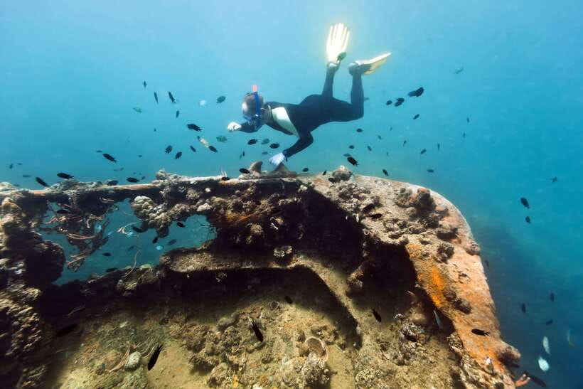 Coron Private Tour D: Reef and Wrecks - Key points at a glance