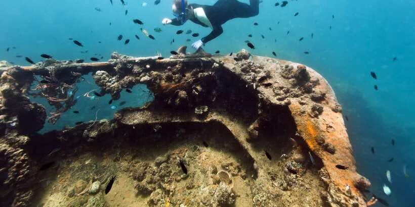 Coron Private Tour D: Reef and Wrecks - Equipment, swimming ability, and comfort