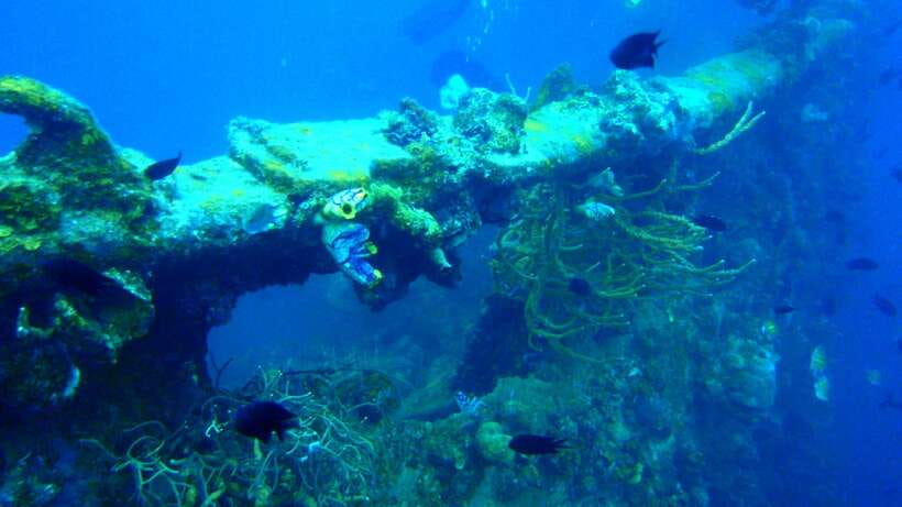 Coron Private Tour D: Reef and Wrecks - The long ride to Pass Island