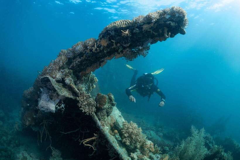 Coron Reef and Wrecks Tour (Private Tour) - Pass Island: a simple beach stop before the wrecks